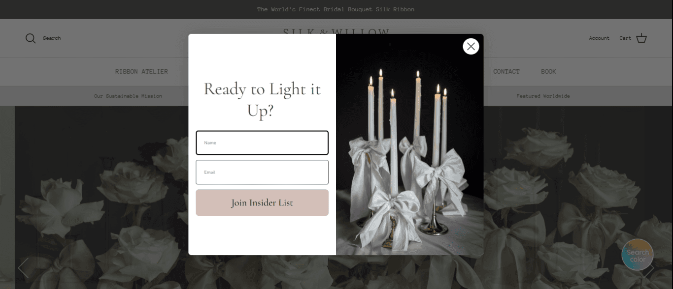 Silk & Willow website Silk & Willow website